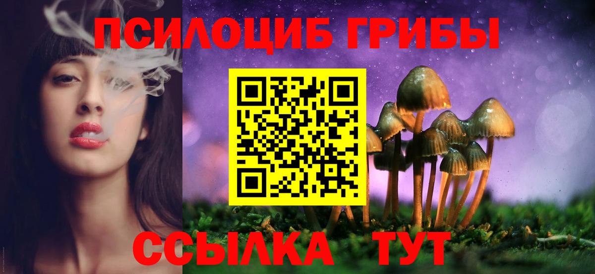 Реж  Галлюциногенные грибы мицелий  Псилоцибиновые грибы Magic Shrooms  Вход с VPN 